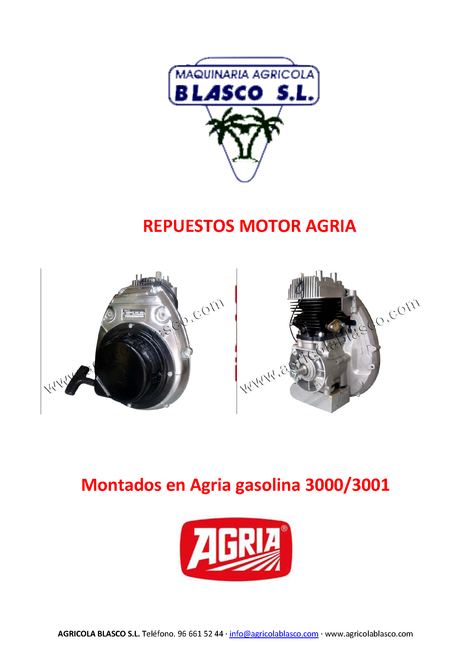 www.agricolablasco.com_despiece motor agria